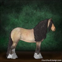 Horse Color:Buckskin Roan Dun 