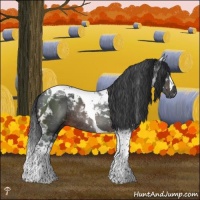 Horse Color:Brown Mushroom Tobiano Rabicano 