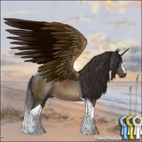 Horse Color:Buckskin Mushroom Tobiano Rabicano 