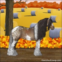 Horse Color:Buckskin Mushroom Tobiano Rabicano 