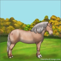 Horse Color:Silver Classic Champagne