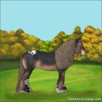 Horse Color:Liver Chestnut Varnish 