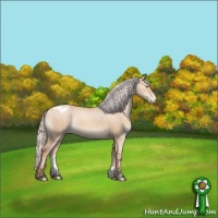 Horse Color:Silver Sable Champagne Dun Appaloosa Rabicano Brindle 