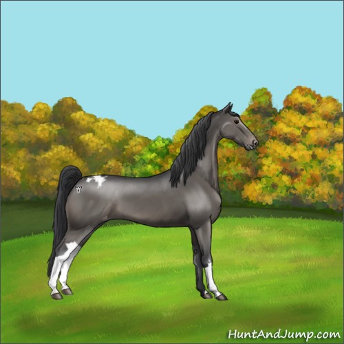 Horse Color:Black Varnish 