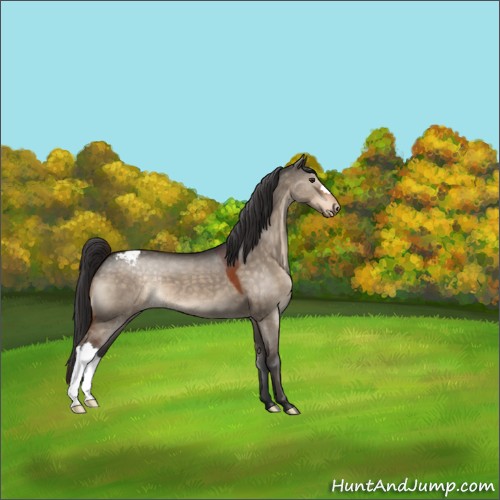 Horse Color:Brown Dun Varnish 