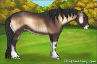 Horse Color:Brown Onyx Appaloosa Brindle 