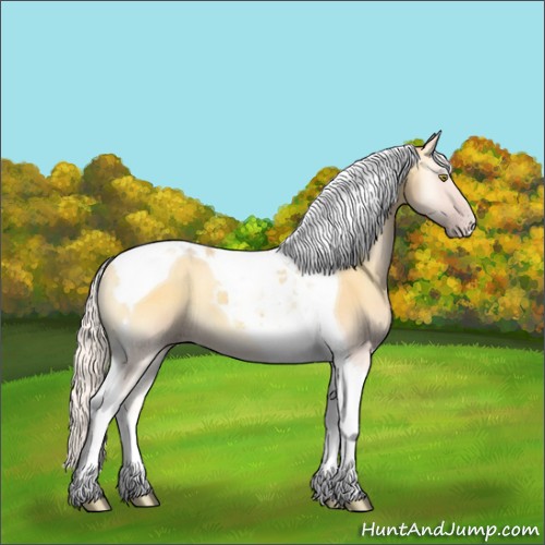 Horse Color:Silver Amber Cream Champagne Onyx Tobiano