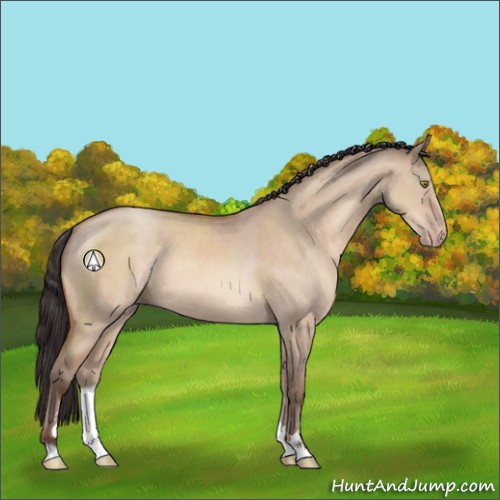 Horse Color:Sable Champagne Dun Sabino Rabicano