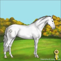 Horse Color:Gray Brown Tobiano Rabicano 