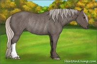 Horse Color:Silver Black Rabicano