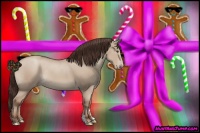 Horse Color:Classic Champagne Dun Rabicano 