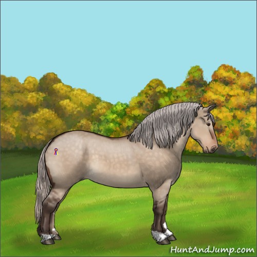 Horse Color:Silver Brown Dun