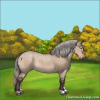 Horse Color:Silver Brown Dun 