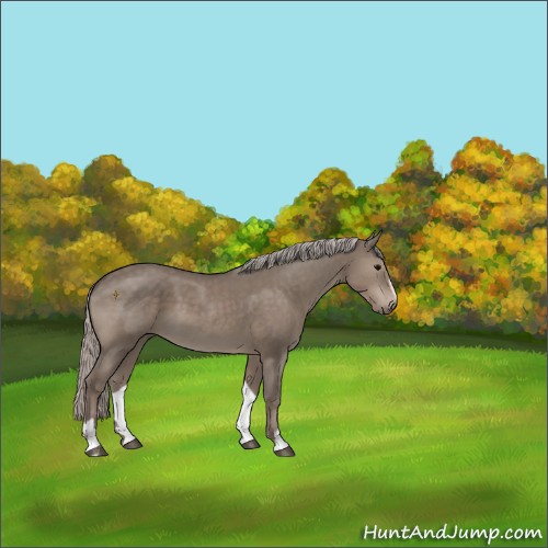Horse Color:Silver Grullo Sabino 