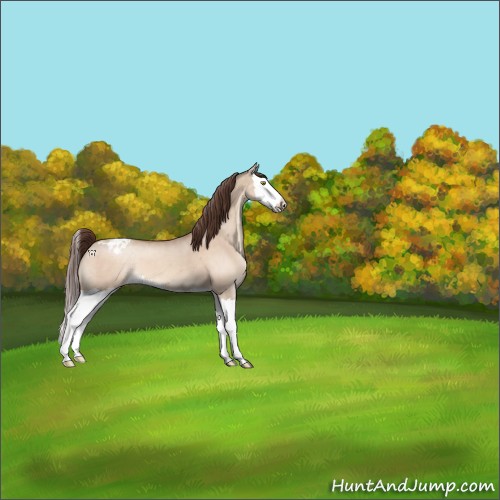 Horse Color:Sable Champagne Dun Splash Varnish