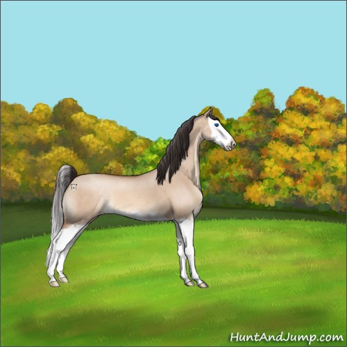 Horse Color:Sable Champagne Dun Splash 