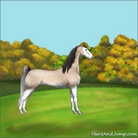 Horse Color:Sable Champagne Dun Splash 