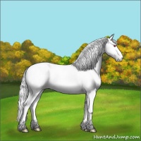 Horse Color:Liver Red Onyx Chinchilla Appaloosa Brindle 