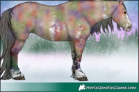 Horse Color:Nacre Bay Dun Sabino 