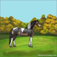 Horse Color:Liver Chestnut Tobiano 