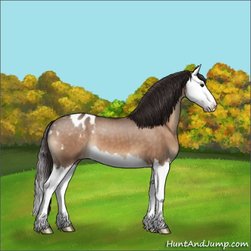 Horse Color:Brown Dun Splash Blanket