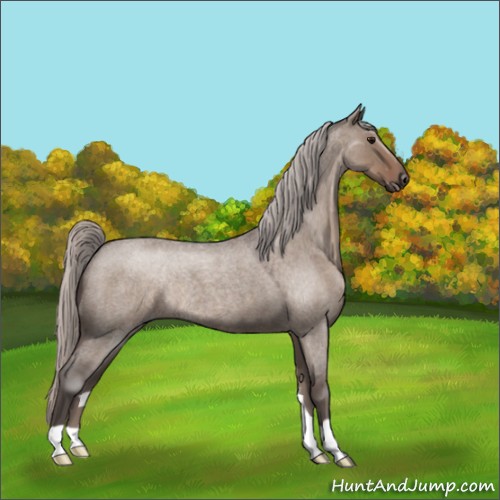 Horse Color:Silver Grullo Roan Rabicano 