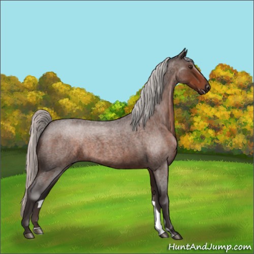 Horse Color:Silver Brown Roan 