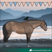 Horse Color:Brown Dun