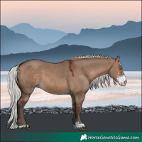 Horse Color:Silver Brown Dun Mushroom Sabino 