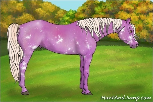 Horse Color:Watercolor White Spotted Chestnut 