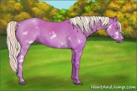 Horse Color:Watercolor White Spotted Chestnut 