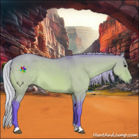 Horse Color:Watercolor Silver Bay Dun