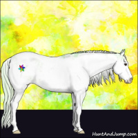 Horse Color:Watercolor Chestnut Sabino Varnish 