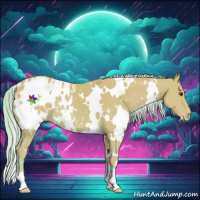 Horse Color:Watercolor White Spotted Chestnut Appaloosa