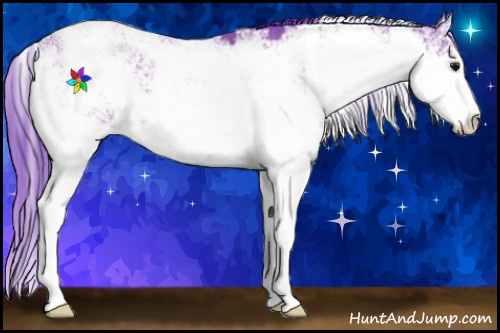 Horse Color:Watercolor Bay Sabino