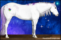 Horse Color:Watercolor Bay Sabino 