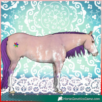 Horse Color:Watercolor Buckskin Dun Sabino 