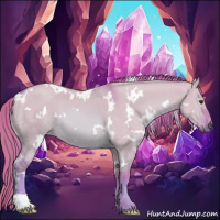 Horse Color:Watercolor White Spotted Red Dun 