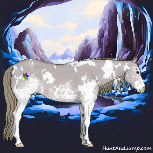 Horse Color:Watercolor White Spotted Red Dun 