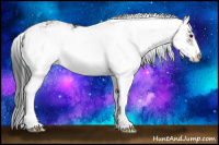 Horse Color:Brown Sabino 