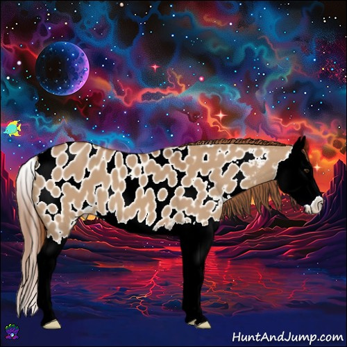 Horse Color:Red Dun Splash Near Leopard