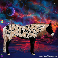 Horse Color:Red Dun Splash Near Leopard 