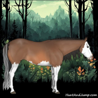 Horse Color:Bay Splash 