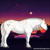 Horse Color:Silver Buckskin Dun Sabino Splash 