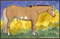 Horse Color:Palomino Sabino  and Buckskin Sabino Splash Frame 