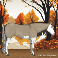 Horse Color:Smoky Grullo Splash 