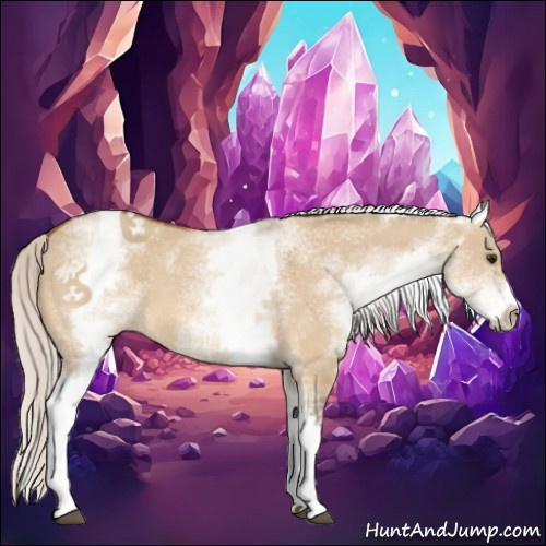 Horse Color:White Spotted Silver Bay Dun 