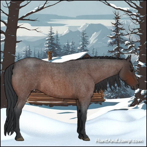 Horse Color:Brown Roan Sabino 