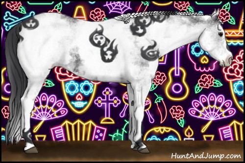 Horse Color:White Spotted Black 