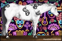 Horse Color:White Spotted Black 